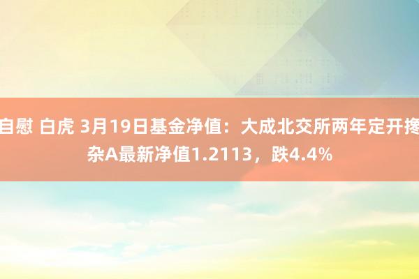 自慰 白虎 3月19日基金净值：大成北交所两年定开搀杂A最新净值1.2113，跌4.4%